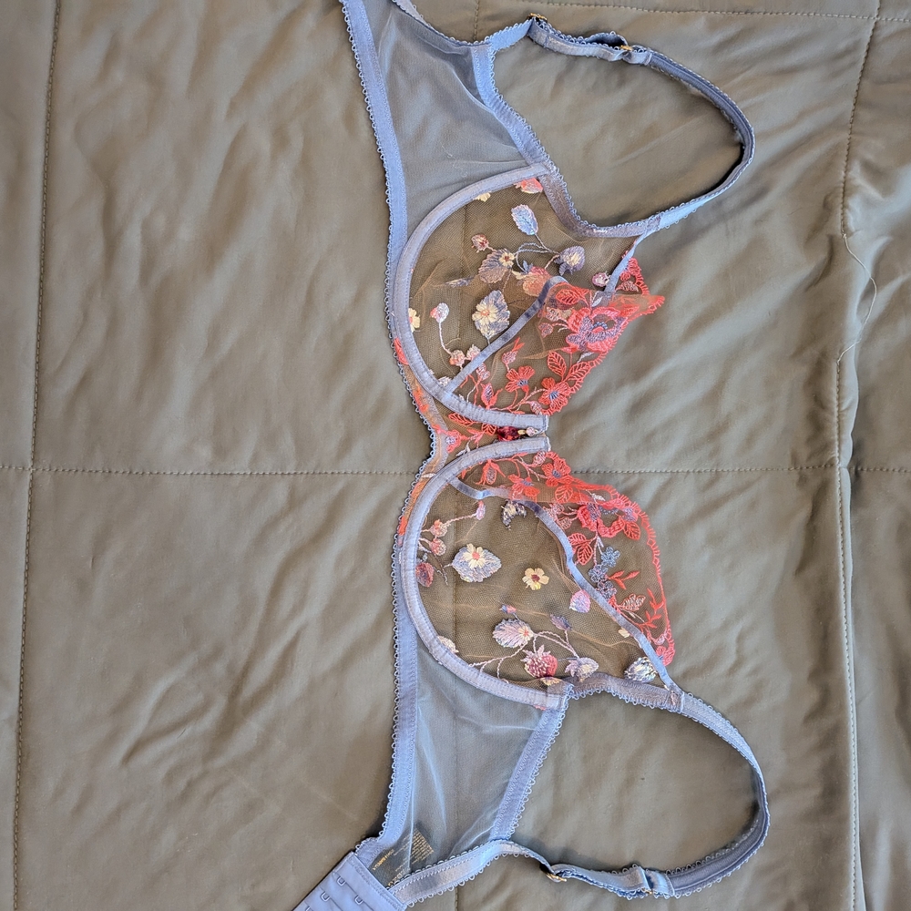 Honey Birdette Sheer Floral Bra - Blue and Red